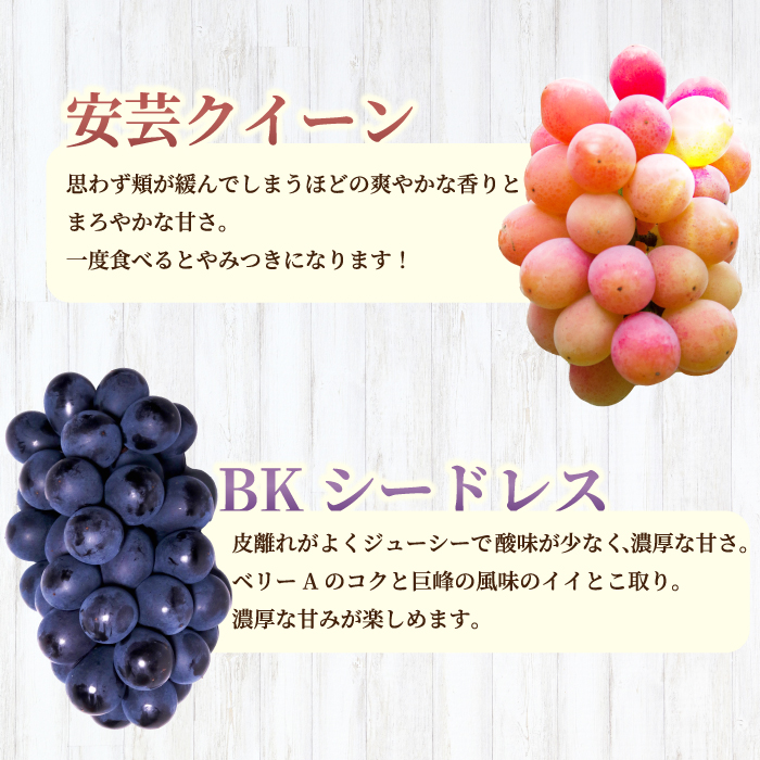 【先行受付】厳選！旬のぶどう詰め合わせ約2kg（4～5房） 2025年9月上旬から順次発送 種なし シャインマスカット 品種 農園おまかせ ピオーネ BKシードレス 安芸クイーン クイーンニーナ スカ