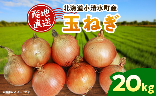 北海道小清水町産 玉ねぎ20kg 甘み豊か 産地直送