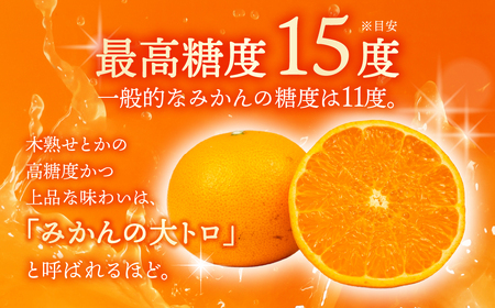 ≪先行予約≫ 大トロみかん『木熟せとか』レギュラー箱　厳選プレミアム　4.2Kg