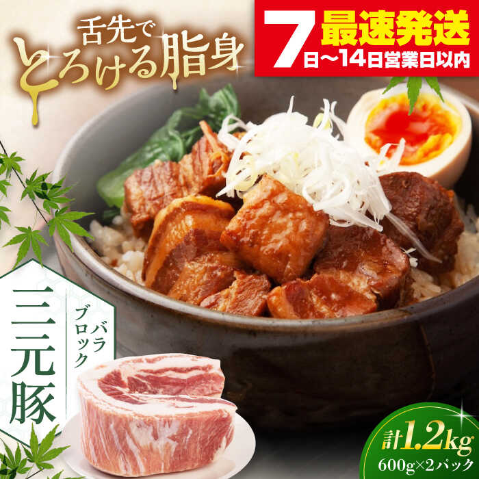 【ふるさと納税】 三元豚 バラブロック1.2kg 600g 2パック 《喜茂別町》【平田牧場】 肉 豚肉 バラ ブロック 煮豚 酢豚 煮物 冷凍配送 北海道 平田牧場 おすすめ [AJAP073] 13000 13000円
