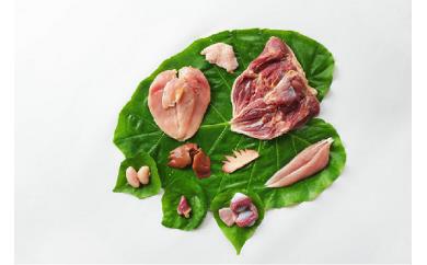 土佐ジロー尽くしセット