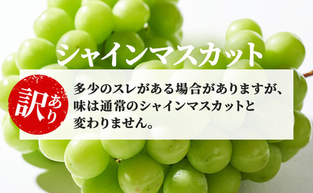 シャインマスカット YANAGISAWA 長野県産 シャインマスカット【約1.2kg 粒】【訳あり】