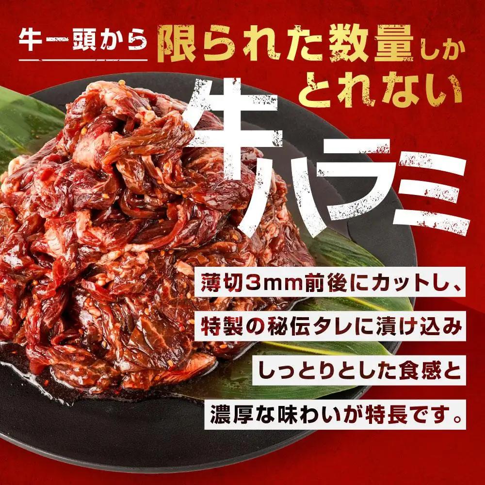 【ふるなびWEEK対象】リピーター続出!!訳あり 秘伝タレ漬け牛ハラミ(サガリ)薄切 500g×4袋 合計2kg | ハラミ 北海道 一人暮らし  _04287 ●
