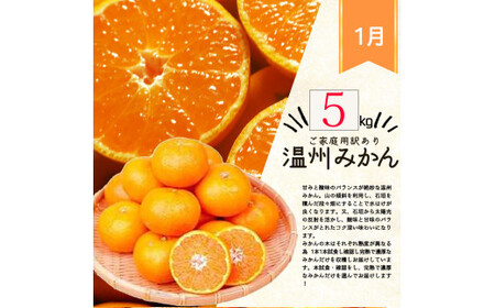 定期便【全3回】ご家庭用柑橘セット みかん 不知火 清見【tkb411】