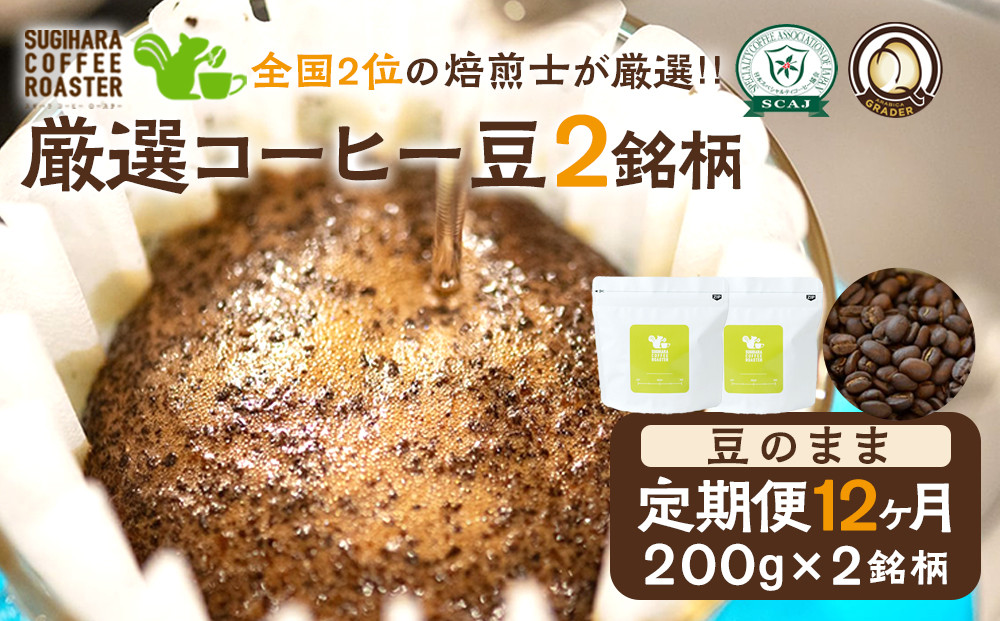 【コーヒー豆定期便】珈琲豆 200g×2銘柄 12ヶ月（豆のまま） 272230_BD014
