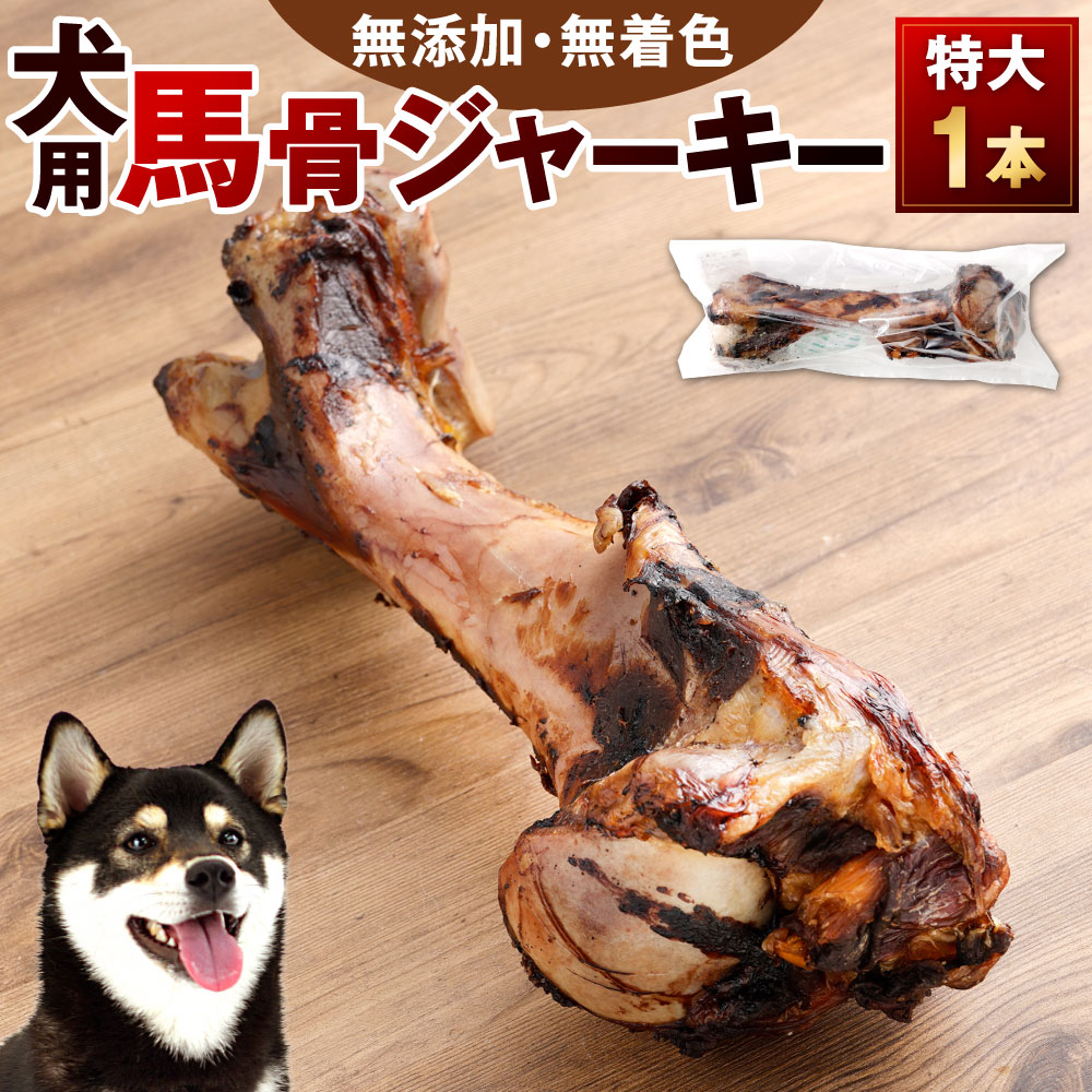 【ふるさと納税】犬用 馬骨ジャーキー 特大 1本 馬骨 ジャーキー 犬用おやつ 無添加 高たんぱく 無着色 馬 低脂肪 ヘルシー ドッグ ワンちゃん シニア犬 成犬 鉄分 ミネラル しつけ ご褒美 ペット