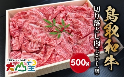 大山望 鳥取和牛 切り落とし肉(上)（もも、腕）500g 牛肉 和牛 お肉 切り落とし