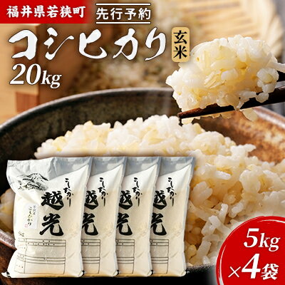 【ふるさと納税】令和6年産福井県若狭町コシヒカリ（一等米）玄米　20kg（神谷農園） 5kg×4袋 お米 ブランド米 銘柄米 ご飯 おにぎり お弁当 産地直送 和食 主食 　お届け：2026年10月以降発送