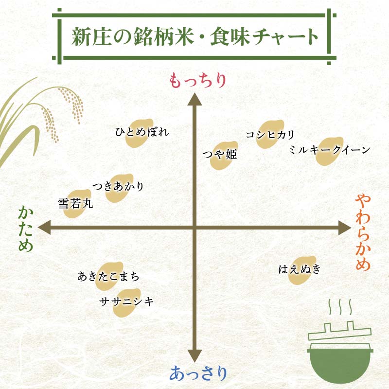 令和8年産 はえぬき 精米 10kg（5kg×2） 22年連続特A受賞 米 お米 おこめ 山形県 新庄市 F3S-2982