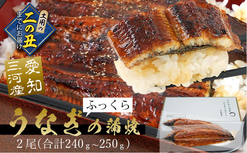 【二の丑までにお届け】生産者｢愛知養魚｣がお届けする三河産うなぎ「蒲焼冷凍2尾」(合計240g〜250g)鰻 ウナギ うなぎ 蒲焼 国産 うなぎ蒲焼 タレ付き たれ 国産うなぎ 蒲焼き うな丼 丑の日 土用の丑の日・A092-14