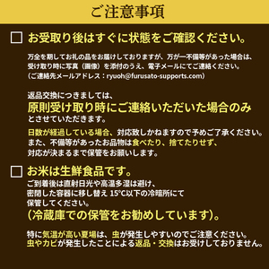  【先行予約】新米 こしひかり 白米 5kg( 新米 予約 令和6年産 特別栽培米 米 5kg 新米予約 米 5kg 新米予約 米 5kg 新米予約 米 5kg 新米予約 米 5kg 新米予約 米 5