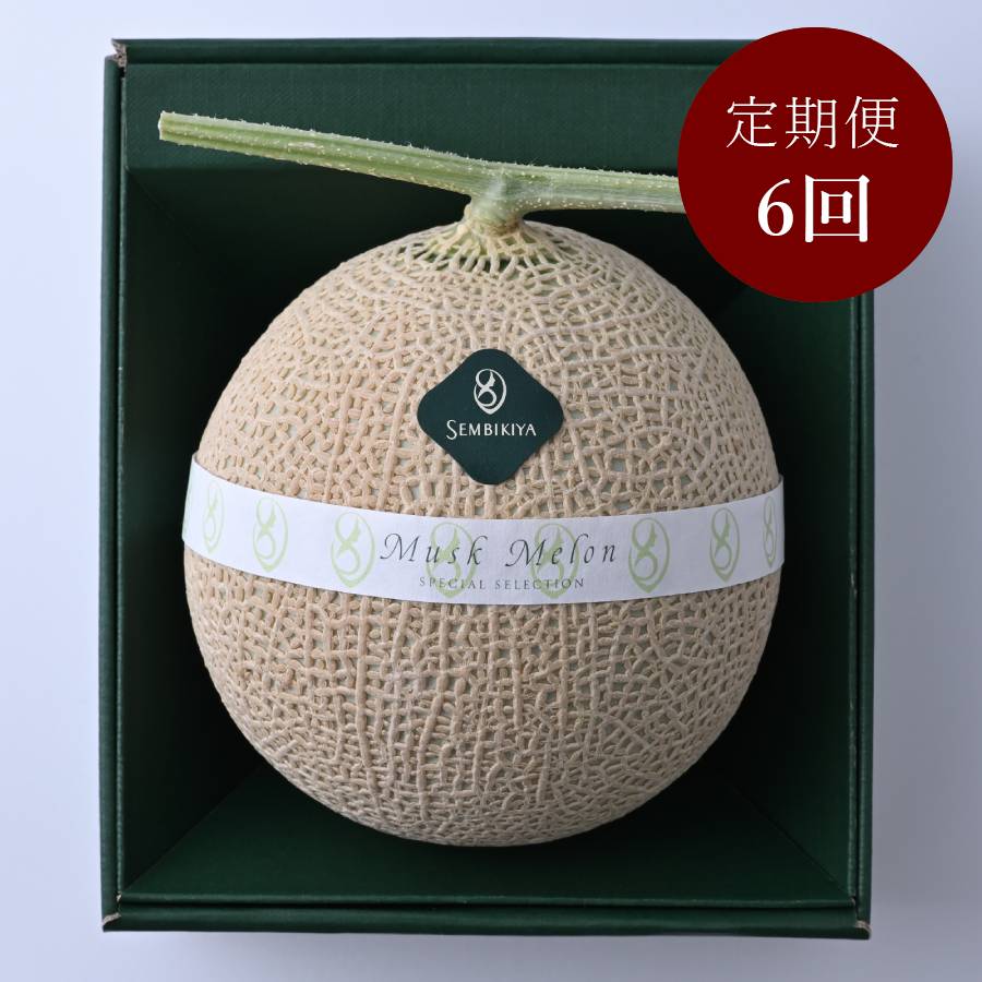 ＜日本橋 千疋屋総本店＞マスクメロン1.3kg【定期便6カ月】