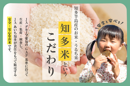 知多米 こしひかり5kg お米 白米 うるち米 おこめ 国産 精米 ご飯 おにぎり 朝ごはん ライス 和食 日本食 主食 食卓 お弁当 コシヒカリ 甘み 粘り 知多半島 お取り寄せ 5キロ 愛知県 知
