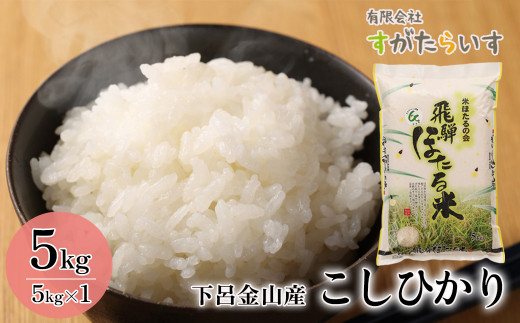 新米先行予約【2026年産米】5kg（2026年10月から順次発送）こしひかり 5キロ すがたらいす 下呂市金山産 令和8年産 お米 精米 米 コシヒカリ