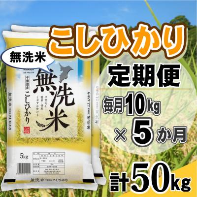 ふるさと納税 大網白里市 【毎月定期便】コシヒカリ 無洗米 10kg (5kg×2袋)全5回