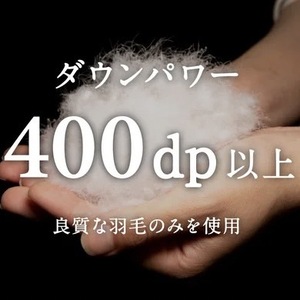 ＼作り立てをお届け／tsumugiまくら　職人手作りふとん　受注生産　0.5kg　ダウンパワー400dp　無洗剤洗浄　アレルギーの方にも安心　岩手　盛岡　さんさ裂き織使用　伝統技術　完全国内生産　10