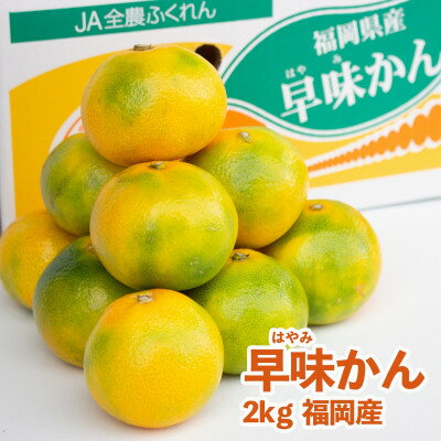 【ふるさと納税】福岡オリジナルブランド　蜜柑 早味かん　2kg(大牟田市)【配送不可地域：離島】【1217259】