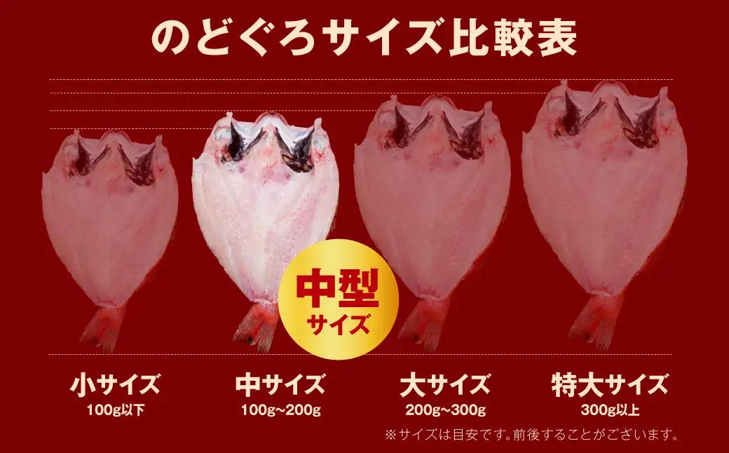 【テレビで紹介されました】 のどぐろ 一夜干し 2～3枚 のどぐろ 干物 【005_2085】