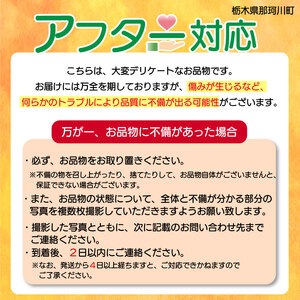 【定期便3回】【2025年先行予約】甘さ抜群のゴールド系 キウイフルーツ 約3kg | 果物 くだもの フルーツ 野菜 やさい ヤサイ キウイ きうい ゴールドキウイ ごーるどきうい 新鮮 フレッシュ
