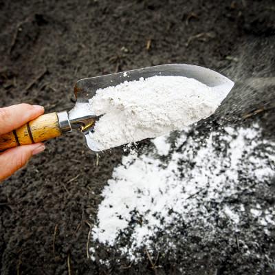 ふるさと納税 白山市 NIKKOの肥料「ボナース(粒径S)1kg×5袋セット(CL003-1000S) |  | 01