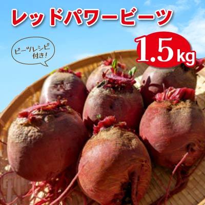ふるさと納税 飯田市 レッドパワービーツ　1.5kg