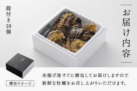 [2027年1月8日より発送！] くばおう 広島県大竹市産 殻付き牡蠣 10個 約2人前 [1876]
