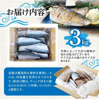 ふるさと納税 土佐清水市 R7.7月中旬〜順次発送 塩サバ 3kg 約18枚 鯖 味付き 国産 冷凍【R01426】 |  | 03