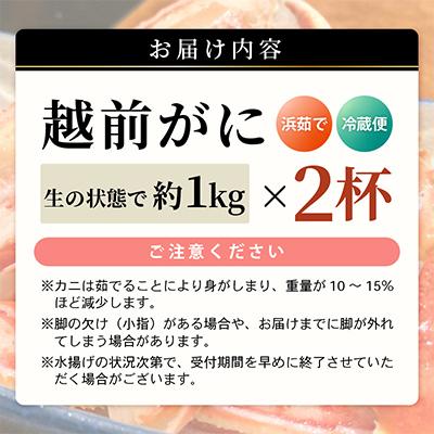 ふるさと納税 美浜町 【2025年3月上旬頃より順次お届け】越前がに　大2杯 |  | 03