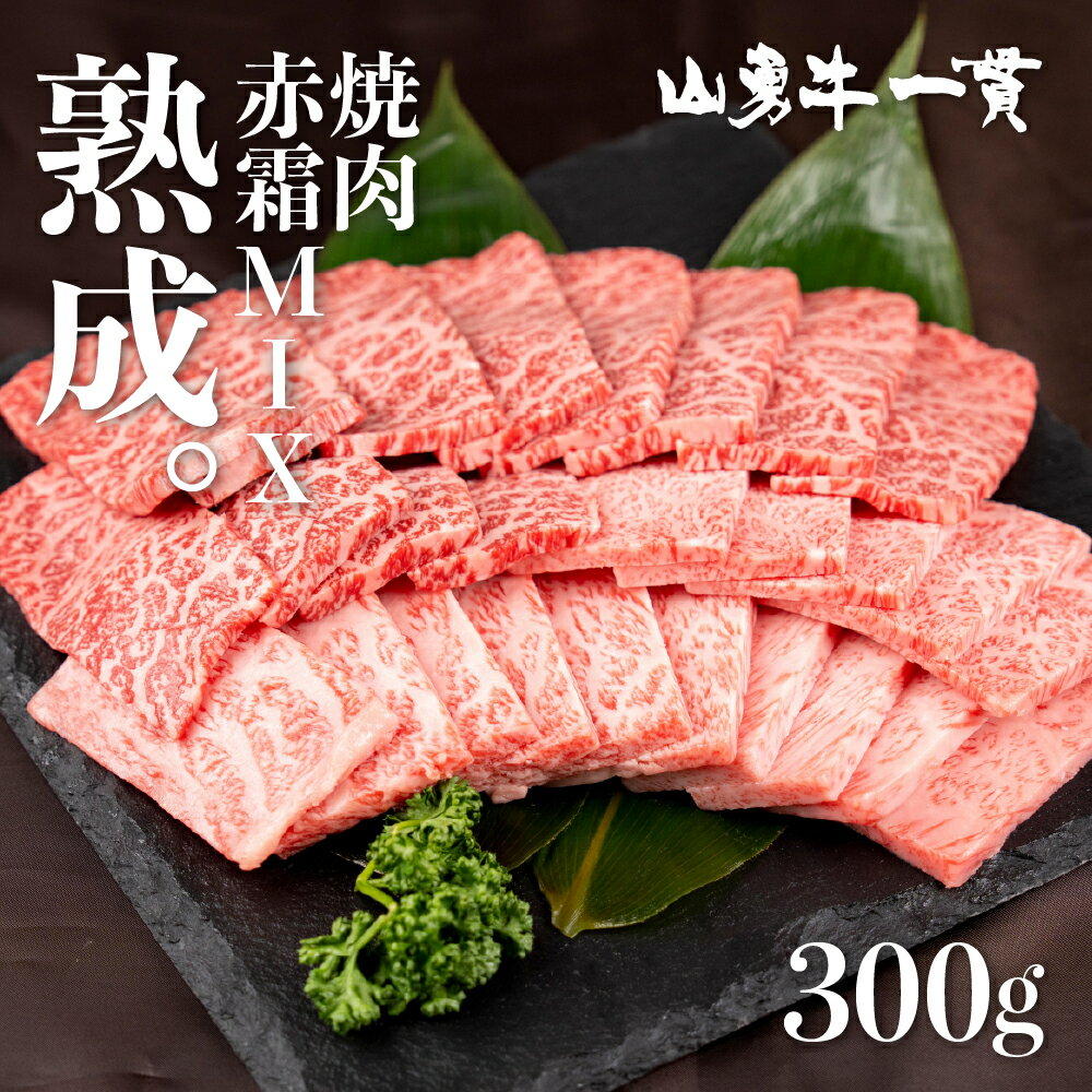【ふるさと納税】熟成肉 飛騨牛『山勇牛』 赤身 霜降り MIX 焼肉用 30日以上熟成 A4・A5ランク 飛騨牛 牛肉 和牛 肉 熨斗掛け［Q3224］20000円 30000円