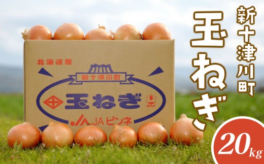 
            先行受付 玉ねぎ Lサイズ 20kg ｜ オンライン 申請 ふるさと納税 北海道 新十津川 北海道産 たまねぎ タマネギ 玉葱 L 大容量　箱 新鮮 甘い 高品質 野菜 やさい サラダ 新十津川町【1200201】
          