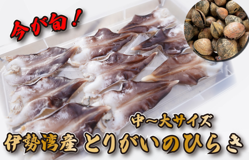 【期間限定】とりがいのひらき 旬 おすすめ 中～大サイズ とり貝 トリガイ 貝 鳥貝 急速冷凍 高タンパク 低脂肪 ヘルシー