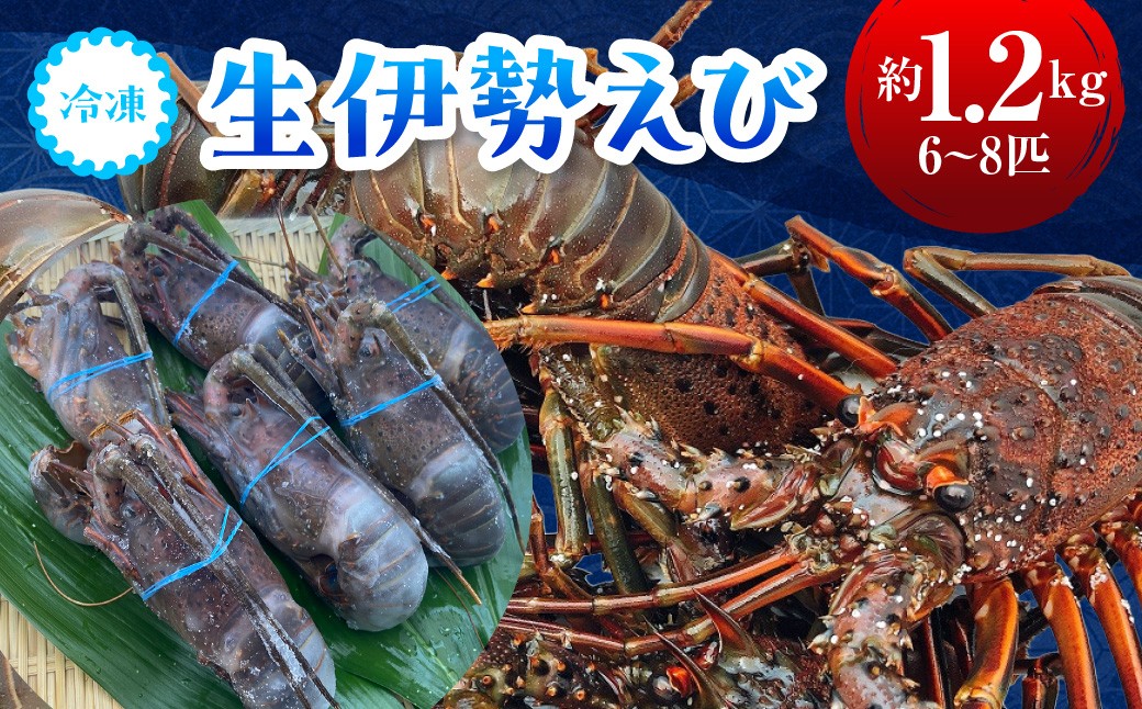 
                  D127 冷凍生伊勢えびA
                