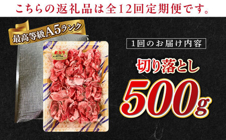 【12回定期便】A5等級 飛騨牛 切り落とし 500g ブランド牛 最高級 A5ランク 岐阜市 / 三心[ANGY014]