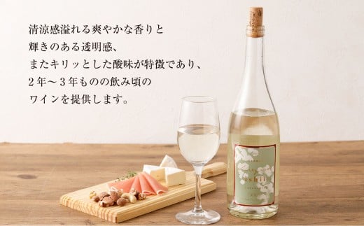 熊本宇城で育ったシャインマスカットを使った 「シャインマスカットワイン」 750ml×1本 ワイン 白ワイン シャインマスカット マスカット 辛口ワイン 辛口 シャルドネ 国産ワイン 九州 熊本県 常