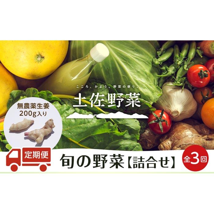 【ふるさと納税】 定期便 全3回 無農薬生姜200gと旬の野菜の詰め合わせ 土佐野菜 セット 新鮮 野菜 毎月 送料無料 人気 おすすめ 高知県 南国市