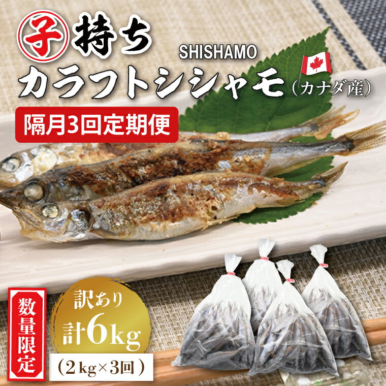 【ふるさと納税】【定期便】 子持ち カラフトシシャモ 2kg (500g×4袋) 訳アリ シシャモ ししゃも カラフトししゃも 大洗 規格外 訳あり わけあり 傷 半年お届け（2ヶ月に1度 2kg × 3回 お届け ）