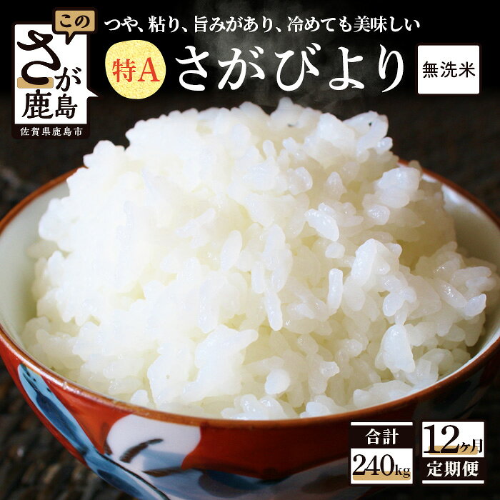 【ふるさと納税】定期便 12回 お米マイスターセレクト！ 無洗米 さがびより 白米 20kg (10kg×2袋) ×12回 《合計240kg》定期便 （佐賀県産） 12か月 乾式無洗米 米 お米 精米 国産 九州産 佐賀県 鹿島市 送料無料 V-36 合計240kg