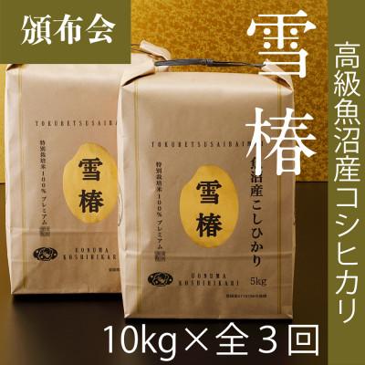 ふるさと納税 津南町 【毎月定期便】高級魚沼産コシヒカリ「雪椿」精米 10kg(5kg×2袋) 特別栽培米全3回