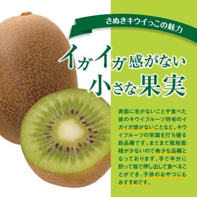 ふるさと納税 高松市 【先行受付2024年】さぬきキウイっこ　約2kg |  | 02