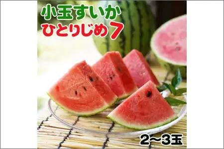 【0140-3】和歌山産小玉すいか ひとりじめ7(2～3玉)