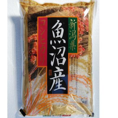 ふるさと納税 十日町市 魚沼産コシヒカリ5kg　精米