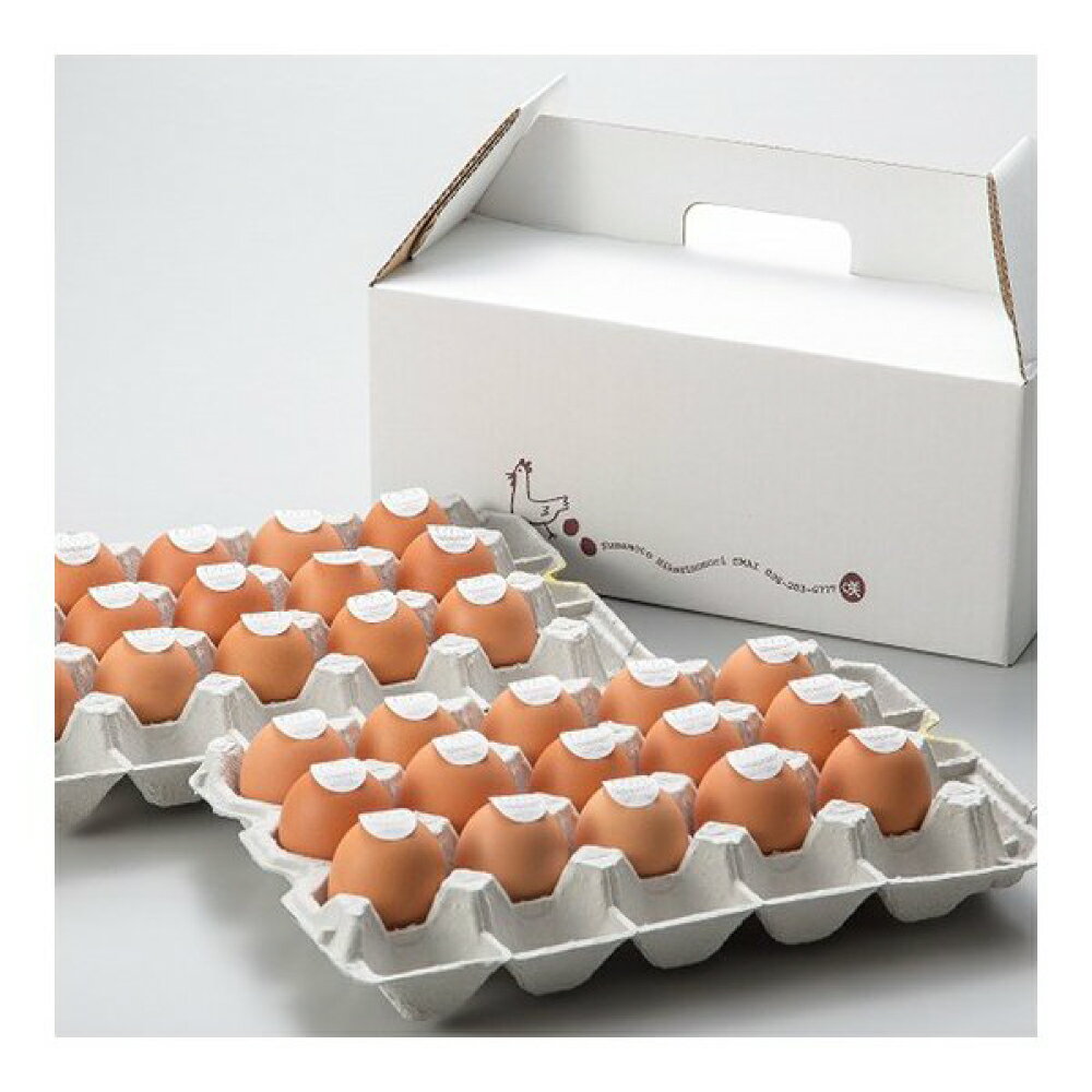 【ふるさと納税】【年6回定期便】【奇数月お届け】卵かけごはん専用 あさひ卵 L玉サイズ 30個（25個+破損保障5個）×6回 計180個 卵 たまご タマゴ L玉 採れたて 直送 卵かけごはん 卵かけご飯 鶏卵 新鮮 ギフト 贈答 熊本産 九州 熊本県 送料無料