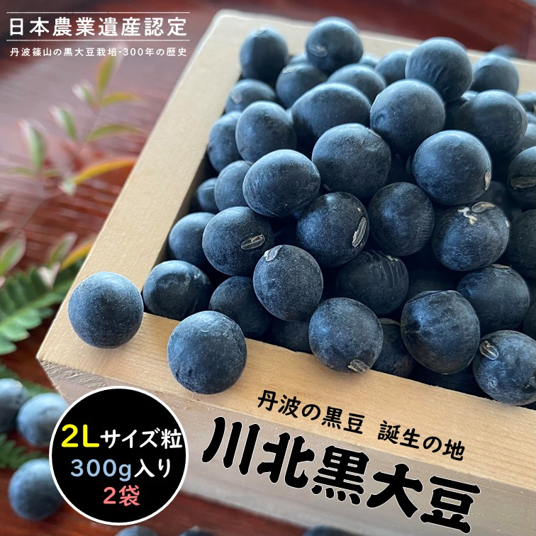 
【新物 令和6年産 令和6年12月中旬以降発送 】川北黒大豆　2Lサイズ粒　300g×2袋　
