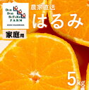 【ふるさと納税】【先行予約】【家庭用】はるみ 約5kg | 柑橘 みかん 果物 フルーツ 愛媛県産 農家直送 　※離島への配送不可　※2025年2月上旬頃に順次発送予定