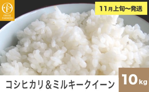 コシヒカリ＆ミルキークイーン 食べ比べ 約10kg ［ おぶせファーマーズ ］ お米 コメ おこめ ご飯 精米 長野県産 2種 【2025年11月上旬～発送】［FK-30］