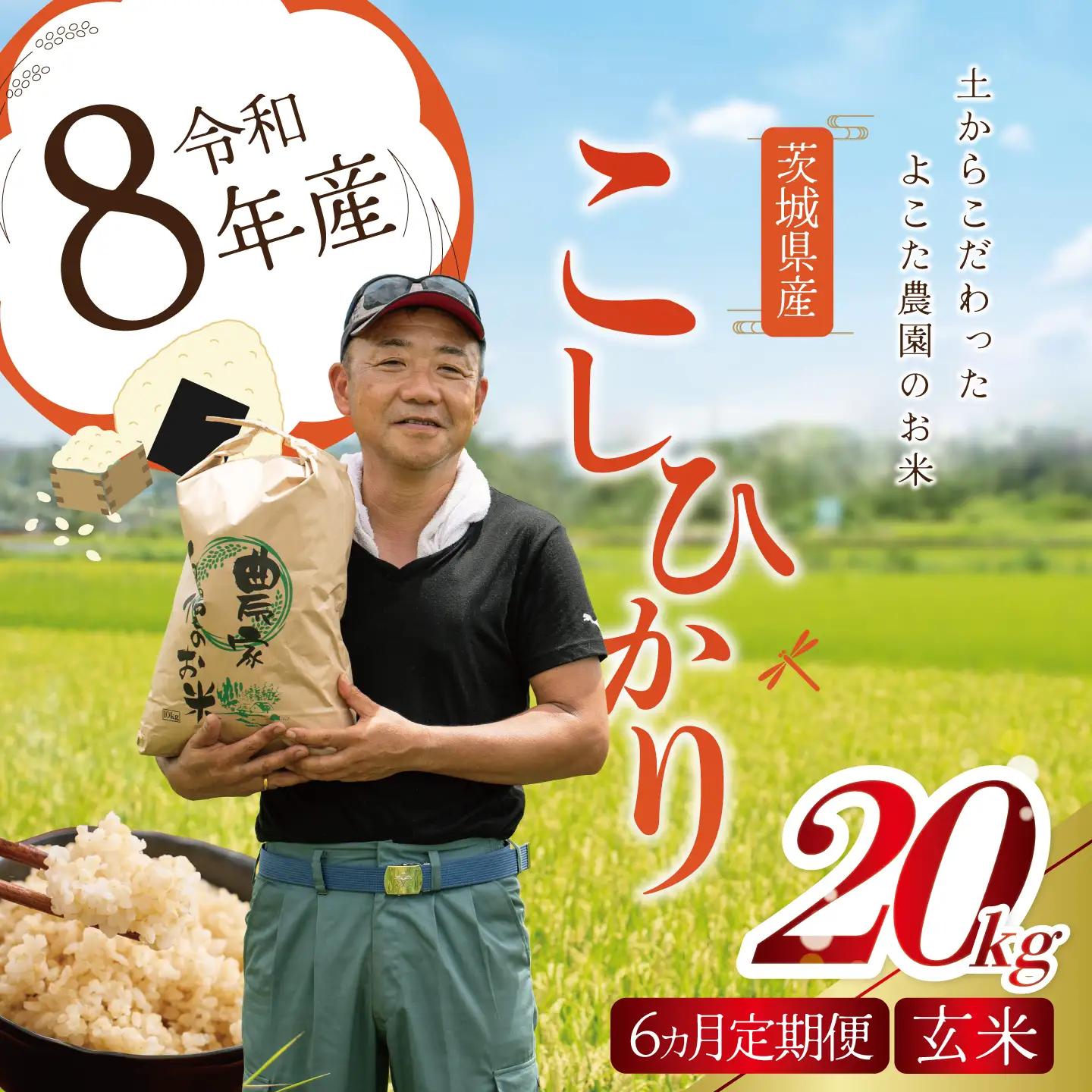 【6回定期便】令和8年産 コシヒカリ 玄米 20kg 新米 こしひかり