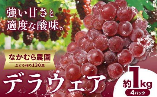 ぶどう【大好評につき受付延長！】デラウェア 約1kg(4パック) 有限会社なかむら農園《2025年6月上旬-7月下旬頃出荷》大阪府 羽曳野市 ぶどう ブドウ 葡萄 送料無料