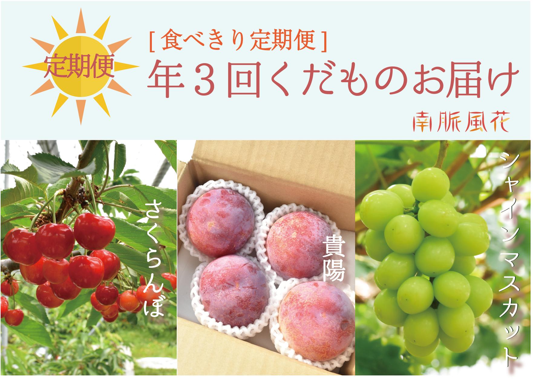 【先行予約】【食べきり定期便】年3回くだもの定期便セットC（さくらんぼ,貴陽,シャインマスカット）　 ALPAJ021