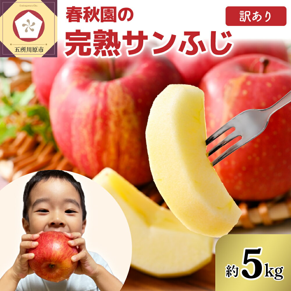 【ふるさと納税】【 訳あり 】 りんご 完熟 サンふじ 5kg 春秋園 青森産 家庭用 / リンゴ 林檎 さんふじ ふじ 果物 フルーツ 旬 5キロ 送料無料 お取り寄せ 秋 旬 青森県 五所川原市