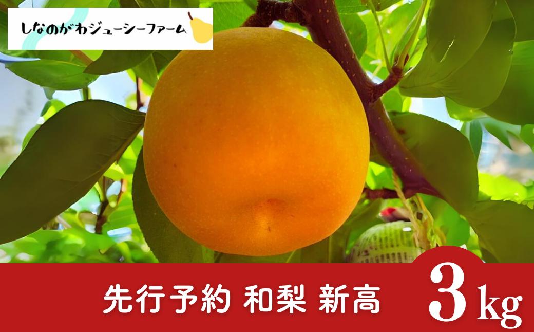 
                  先行予約 和梨 新高 約3kg 令和8年度 新潟県 三条市産 梨 [しなのがわジューシーファーム]【010S489】
                